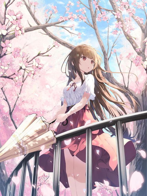 樱花剑歌封面